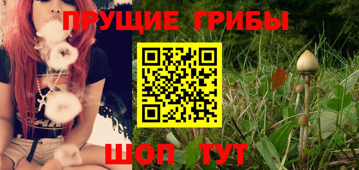 Галлюциногенные грибы Cubensis  Вход с VPN  как найти наркотики  Сунжа  Галлюциногенные грибы мицелий 